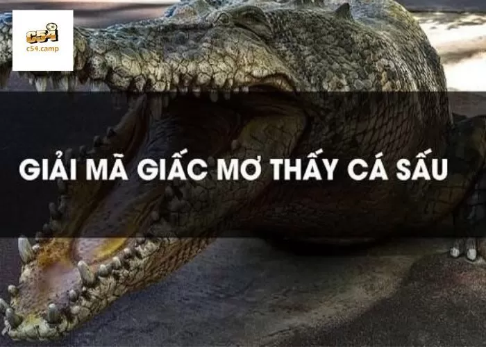 Mơ thấy cá sấu