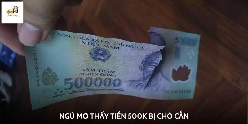 Ngủ mơ thấy tiền 500k bị chó cắn